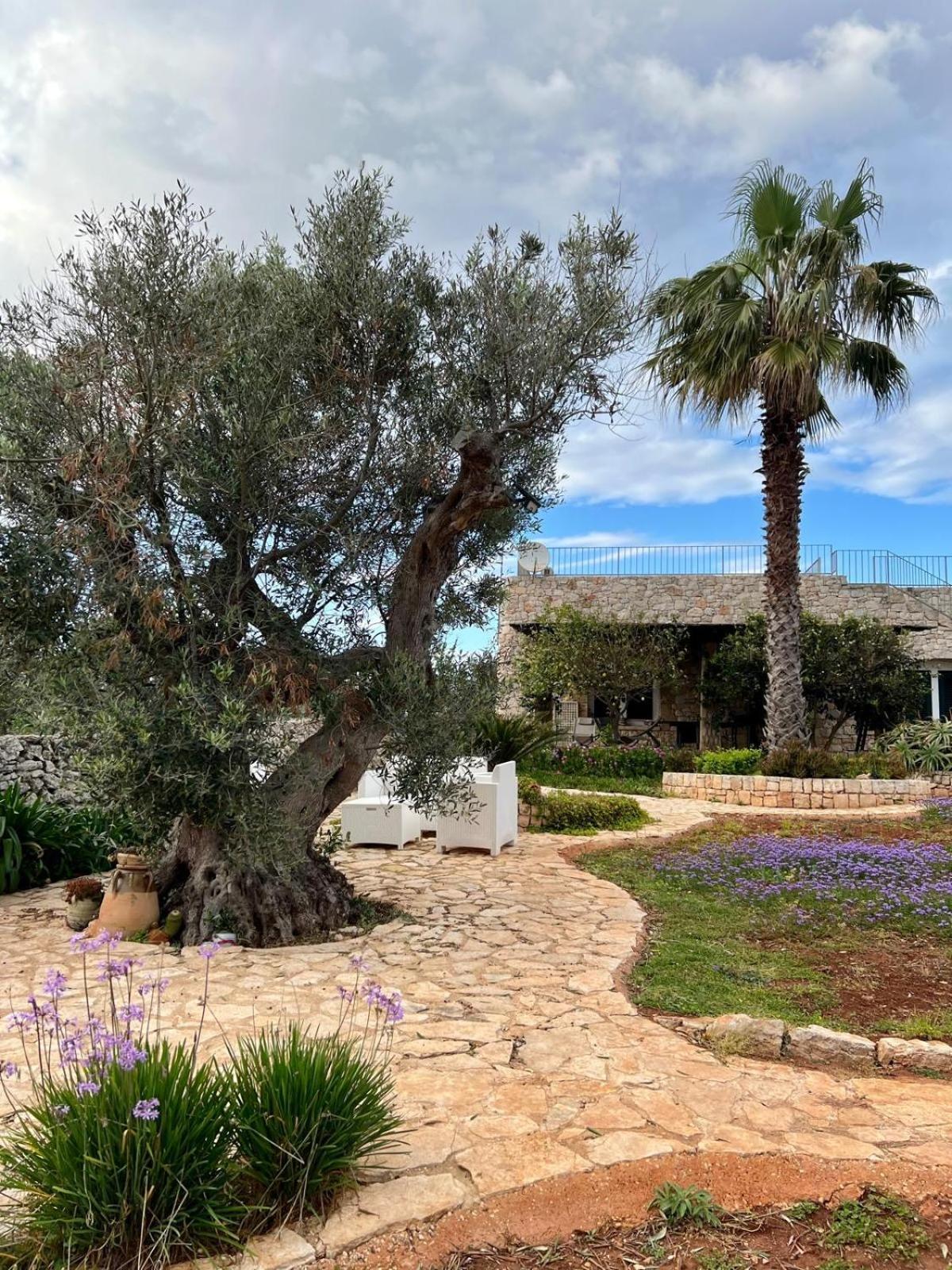 Magico Salento 1/2/3 Villa Torre Vado Exterior foto